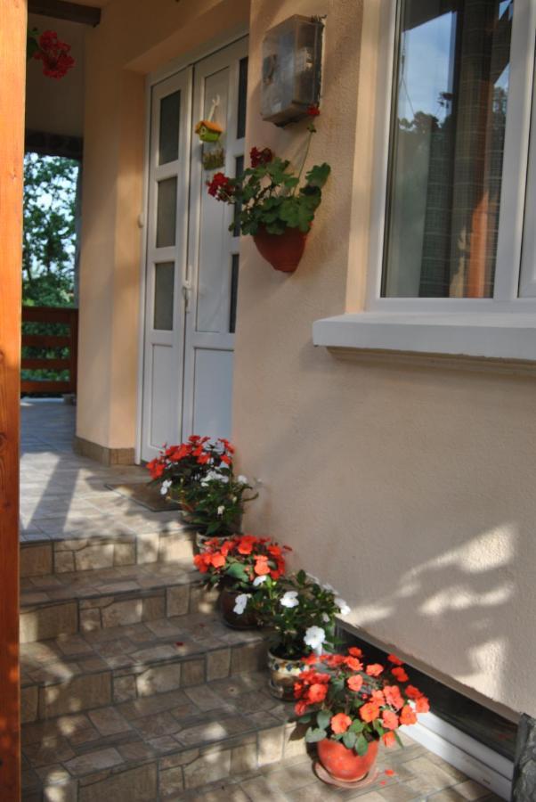 Casa Kelemen Διαμέρισμα Sovata Εξωτερικό φωτογραφία