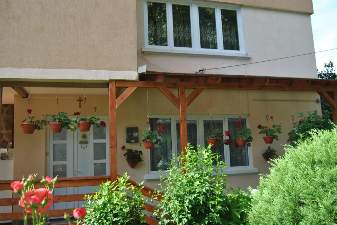 Casa Kelemen Διαμέρισμα Sovata Εξωτερικό φωτογραφία
