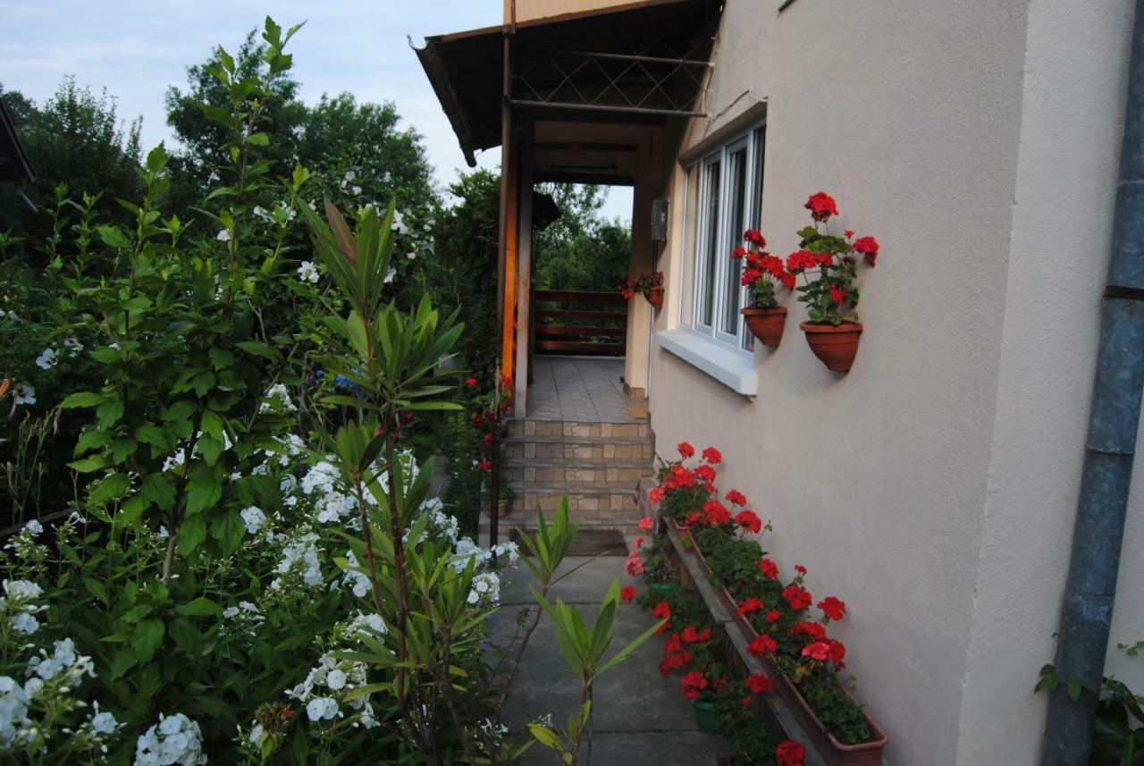 Casa Kelemen Διαμέρισμα Sovata Εξωτερικό φωτογραφία