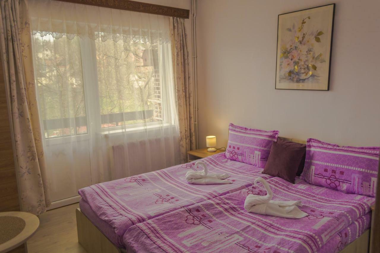 Casa Kelemen Διαμέρισμα Sovata Εξωτερικό φωτογραφία